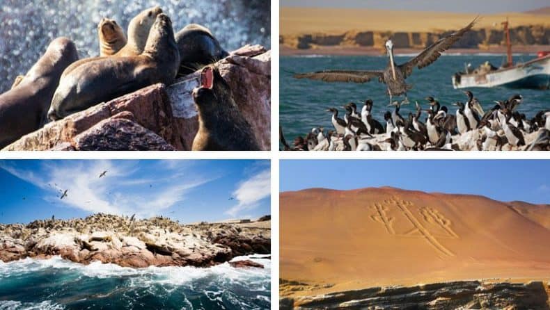 Ballestas Islands 2019 Prices Info And Tours Bolivia Hop